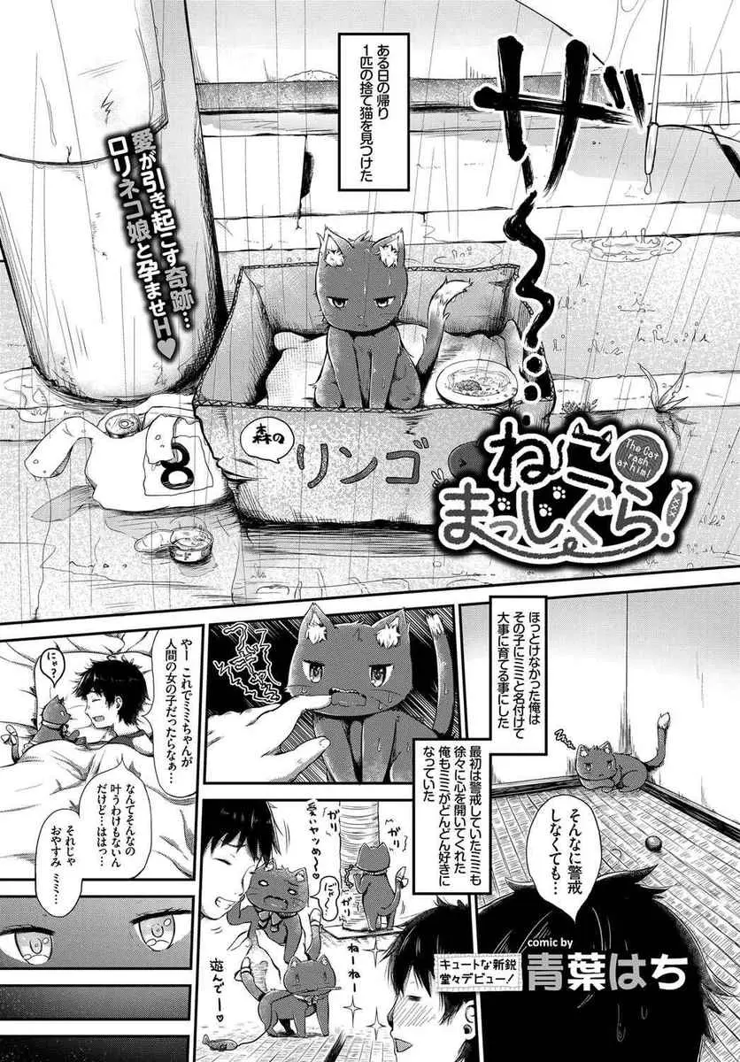 【エロ漫画】雨の中助けた黒猫が美少女になって恩返しをしてくれる。つるぺたロリな猫耳少女になって、ご主人様のおちんちんをフェラチオする彼女。パイパンロリマンコにおチンポを咥えて中出しセックスまでしちゃうぞ